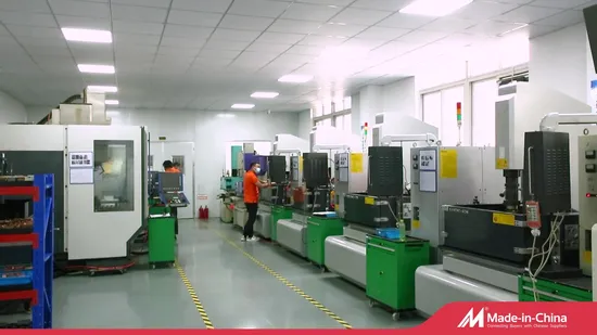 Изготовитель/производство штампов для прецизионных пластиковых форм по индивидуальному заказу